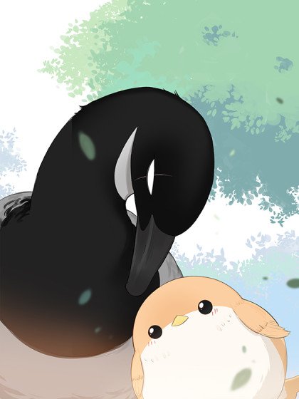 南方的鳥和北方的鳥封面